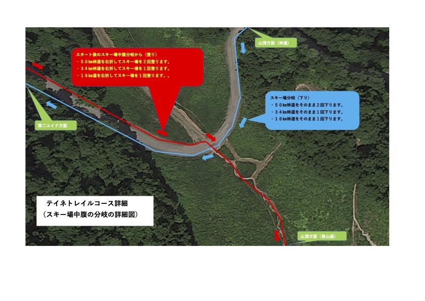 スキー場中腹の分岐の詳細図